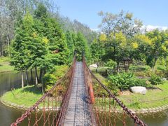 -合肥滨湖国家森林公园