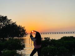 -宝安西湾红树林湿地公园