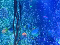 -沈阳海洋探索中心