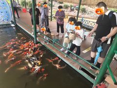 -白洋淀景区