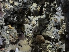 -湖南省地质博物馆