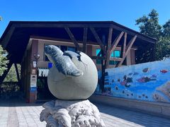 -广东惠东海龟国家级自然保护区