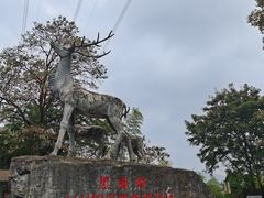 -长沙黑麋峰国家森林公园