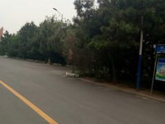 -日照海滨国家森林公园