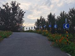 -东郊湿地公园