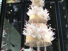 -BLACKSWAN黑天鹅(环球店)