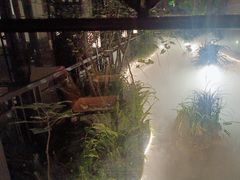 -大妙火锅·非物质文化遗产(东湖公园店)