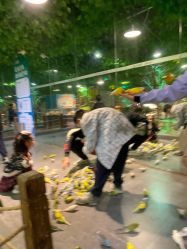 -酷嗒动物文化乐园(cutezoo西溪乐天城店)