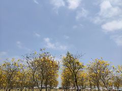 -露天矿生态公园