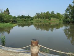 -桤木河湿地公园