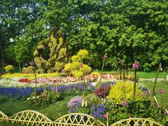 -上海共青森林公园