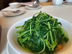 -利苑酒家(金宝店)