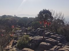 -灵岩山风景区