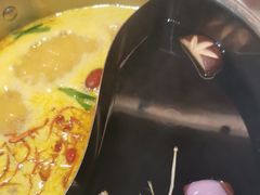 -小茉庐和牛自助火锅(龙湖万达店)