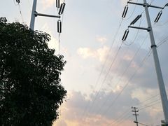 -米纸越南小馆(金鹰世界店)