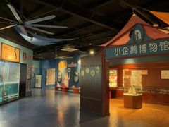 -海合安武汉极地海洋公园