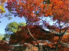 -杭州西湖风景名胜区-三生石
