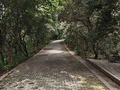 -宝岩生态观光园