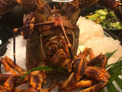 龙虾刺身-官也街澳门火锅(新源里店)