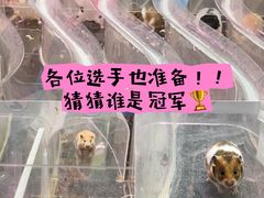 -正佳雨林生态植物园
