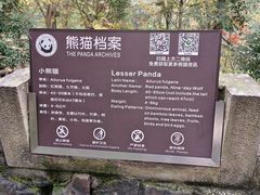 -都江堰中华大熊猫苑