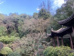 -杭州黄龙洞