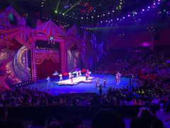 -珠海横琴长隆《卡卡虎奇遇记》