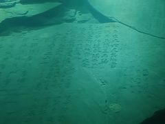 -白鹤梁水下博物馆
