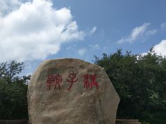 -关山草原