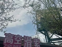 -杨柳青庄园