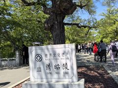 -北陵公园