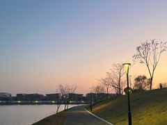 -羊山湖公园