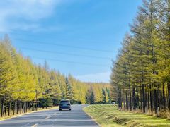 -塞罕坝国家级自然保护区