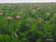 -云龙湖旅游景区