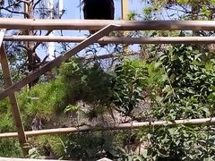 -临沂动植物园