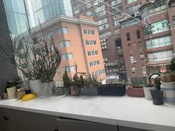 点击看大图 -真好真意SALON 接发·染·烫特色店