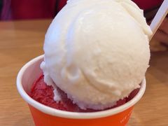 -Patagonia Chocolates(皇后镇店)