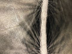 -张之洞与武汉博物馆