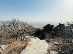 -北京西山国家森林公园