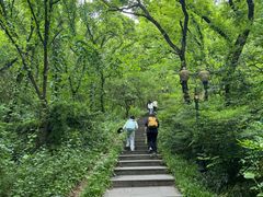 -句容茅山景区