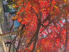-白马涧龙池景区