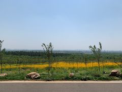-南京老山国家森林公园