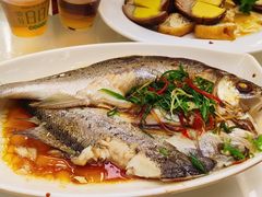 -日日香卤鹅饭店·澄海狮头鹅(澄海店)