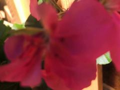 -木王宴语·野生鲜菌火锅(玉河店)