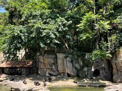 -燕塞湖鸟语林景区