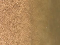 -仙湖旅游度假区