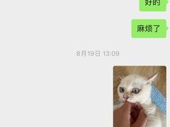 -袖虎·猫馆(体育西路店)
