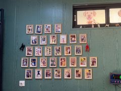 -严国平动物医院(德政总院)