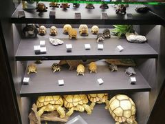 -仲盛世界商城