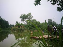 -白鹭湾湿地公园